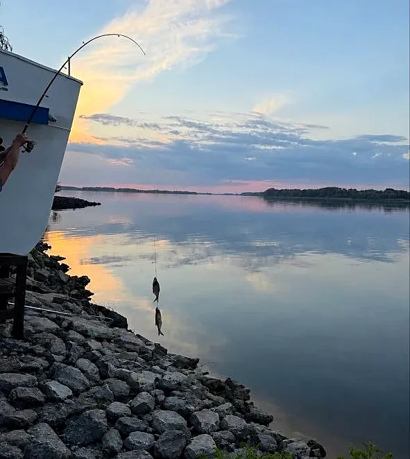 Риболовля на світанку